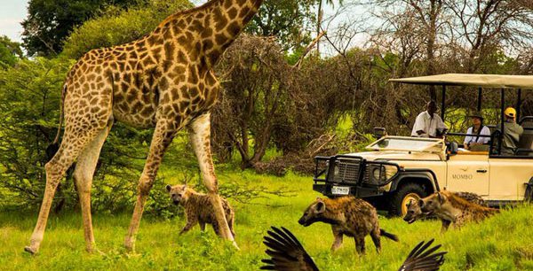 آفریقای جنوبی